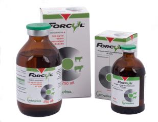 forcyl